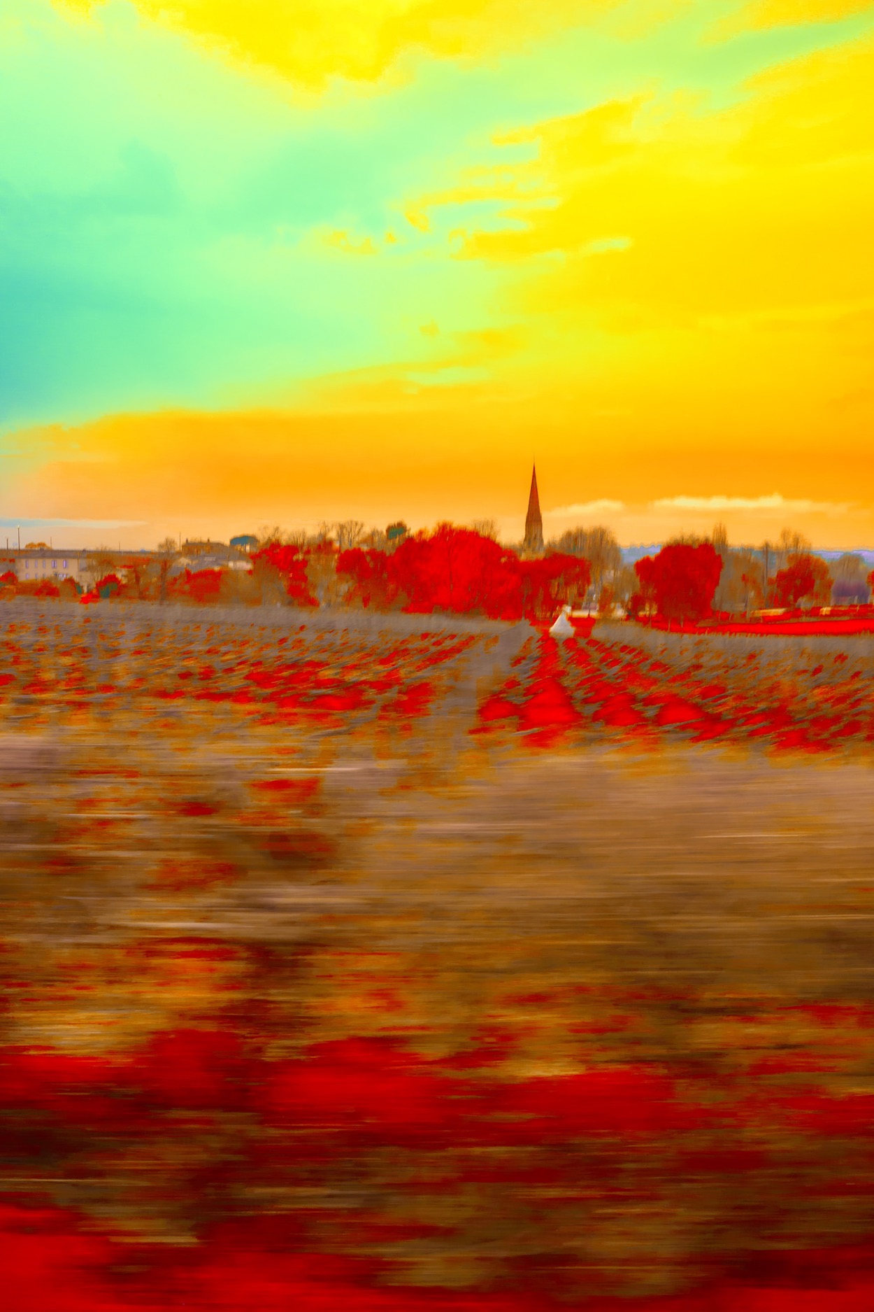 Sauternes II